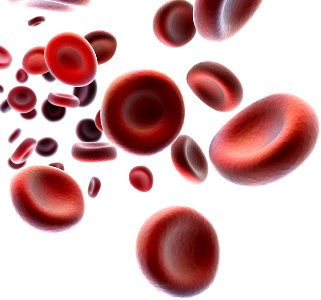microscope view of Myeloproliferative Neoplasms